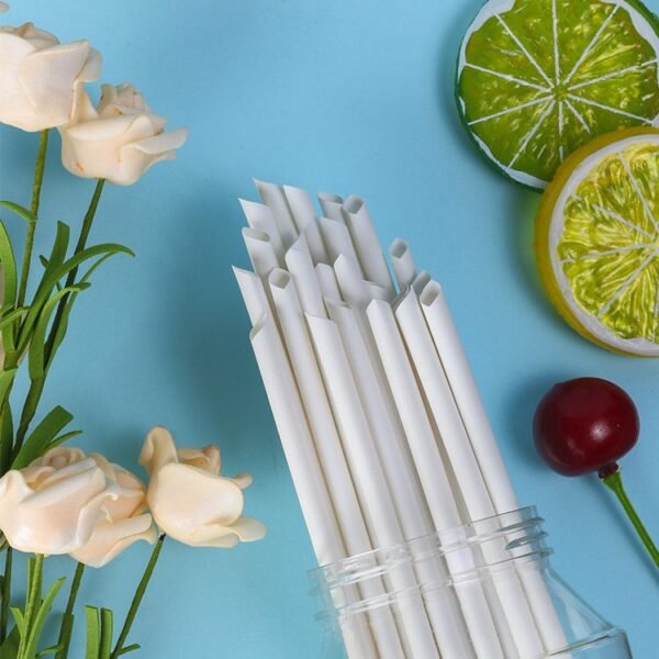 6mm Disposable Drinking Straw Bamboo Fiber Straws - 图片 2